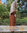 Abaya Jazz mit Stufe