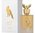 Pride Parfume Shaheen Gold 100ml Eau De Parfum