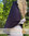 Khimar Zahraa jersey chin and forehead part