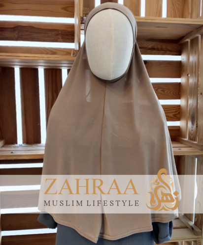 Amira Basic