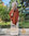 Abaya Jazz mit Stufe und Zipp