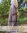 Maxi Farasha vest with pockets