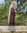 Abaya Habiba mit Schleife