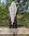 Abaya Habiba mit Schleife