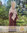 Abaya Noura mit Glitzersteinchen