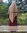 Abaya Lovely